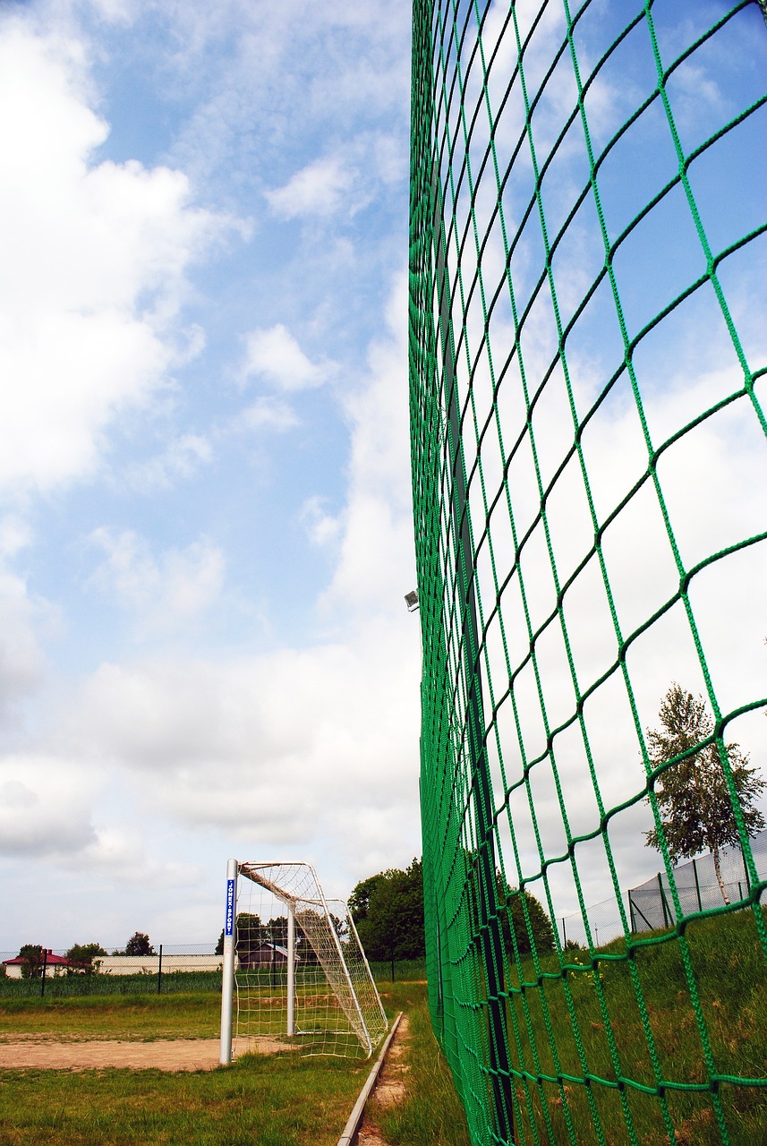 主要涉及门 主要涉及门