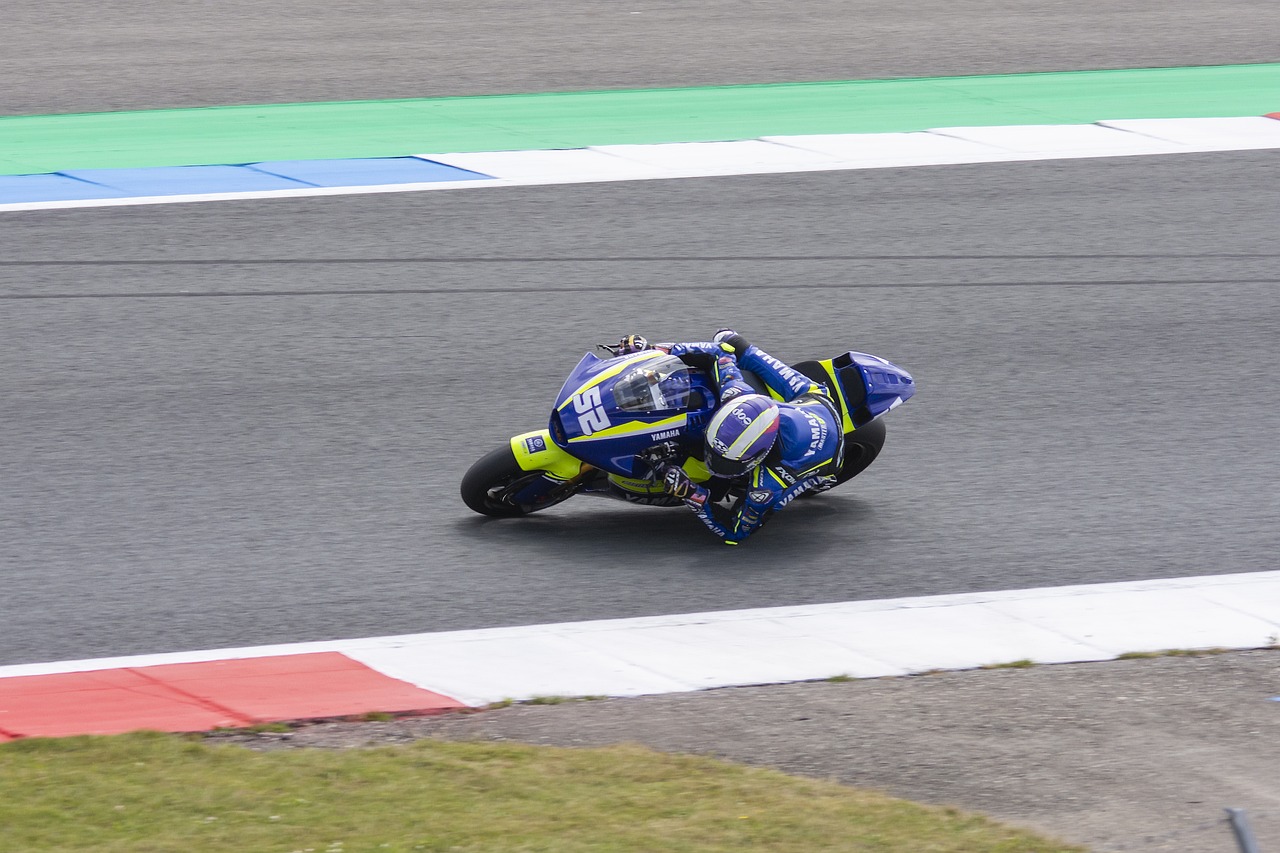 特别注重蛋 特别注重蛋