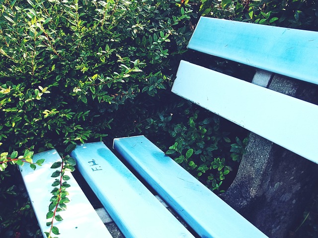 他们在广东 他们在广东