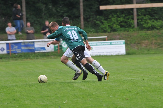 强壮的身体 强壮的身体