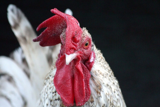 预期中那样 预期中那样